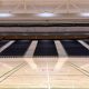 Industralight high bay and linear LED luminaires installed at Sacred Heart College Sports and Wellness Precinct Geelong.