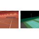 Industralight 3D modelling and lighting calculations of Mercedes College